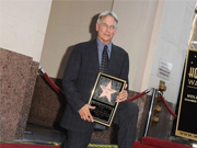L'agente speciale Leroy Jethro Gibbs riceve la sua stella nella Walk Of Fame
