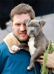 Per Tom Hardy tenerezze sul set con un collega molto speciale: un cucciolo di pitbull!