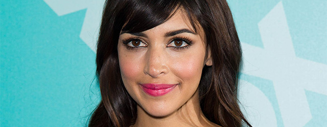 The Greatest American Hero, reboot con protagonista Hannah Simone