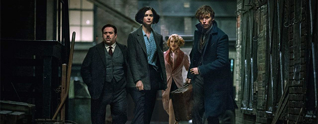 Animali Fantastici E Dove Trovarli Alta Definizione