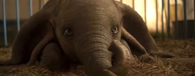 Box Office: Dumbo debutta in testa, seguito da A un metro da te e Bentornato presidente