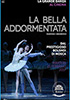 la scheda del film La Bella Addormentata - Bolshoi Ballet 2016-17