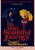 la scheda del film A big bold beautiful journey - Un viaggio straordinario
