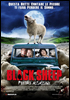 la scheda del film Black Sheep