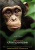la scheda del film Chimpanzee
