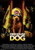 la scheda del film Il cane pompiere