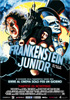 la scheda del film Frankenstein Junior