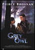 la scheda del film Grey Owl