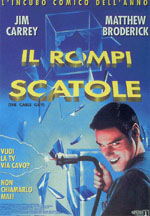 Locandina del film Il rompiscatole