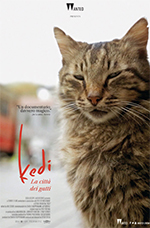 Kedi - La Citt dei Gatti