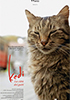 la scheda del film Kedi - La Città dei Gatti