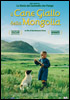 la scheda del film Il cane giallo della Mongolia