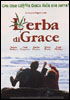 la scheda del film L'erba di Grace