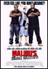 la scheda del film Malibu's most wanted