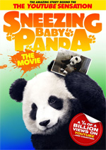 Sneeazing Baby Panda
