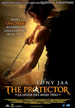 Locandina del film The Protector