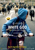 la scheda del film White God - Sinfonia per Hagen