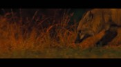 Trailer italiano