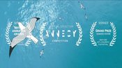 Trailer italiano