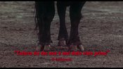 Trailer italiano