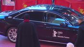 Berlinale 2015 - Red Carpet del film "Taxi"