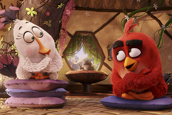 Foto dal film Angry Birds - Il Film