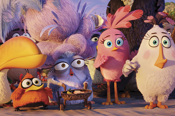 Foto dal film Angry Birds - Il Film