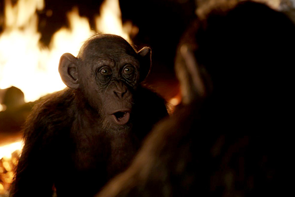 Foto dal film The War - Il pianeta delle scimmie