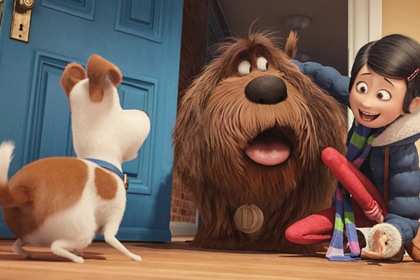 Foto dal film Pets - Vita da animali