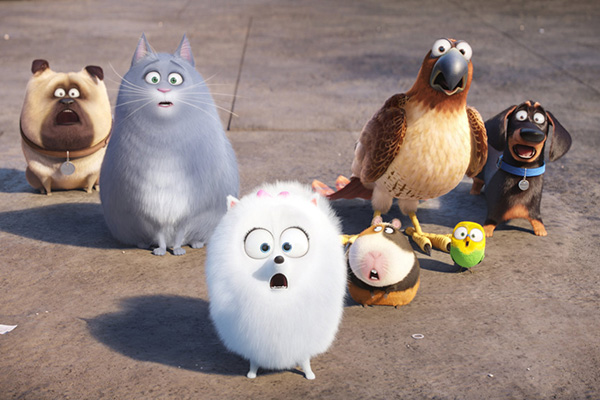 Foto dal film Pets - Vita da animali