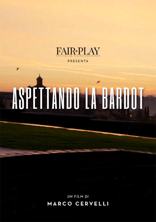 Poster del film Aspettando la Bardot