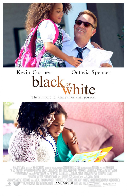 Poster del film Black or White