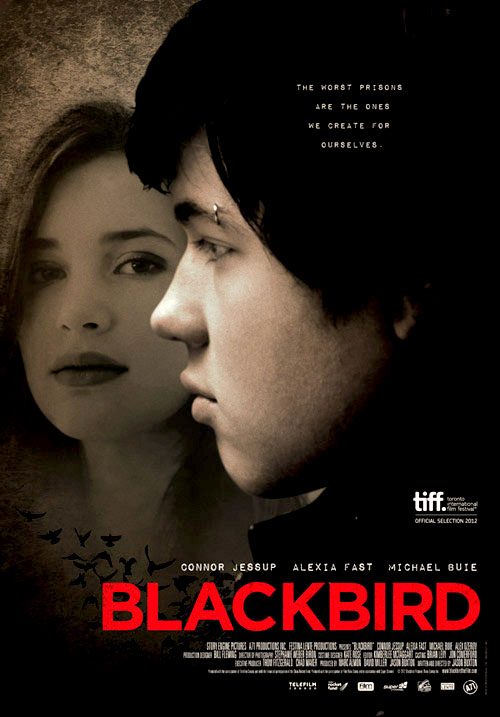 Poster del film Blackbird