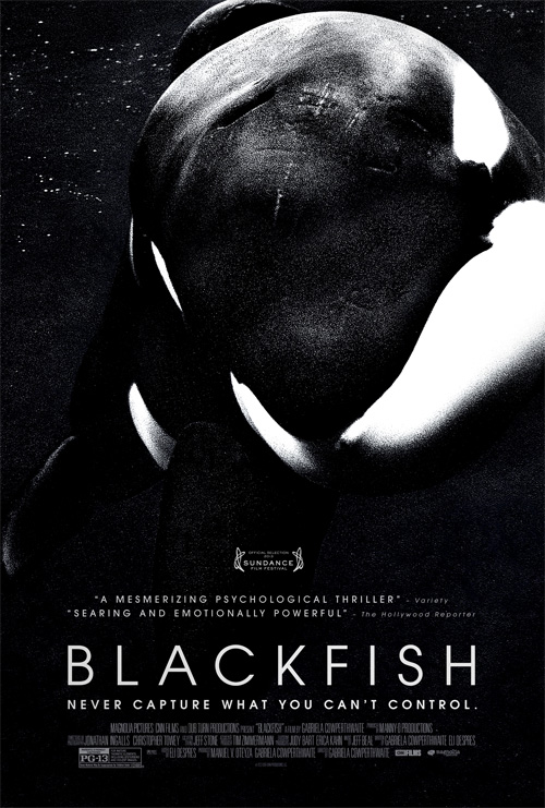 Poster del film Blackfish