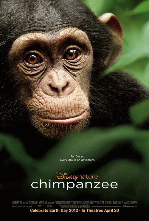 Poster del film Chimpanzee