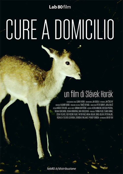 Poster del film Cure a domicilio