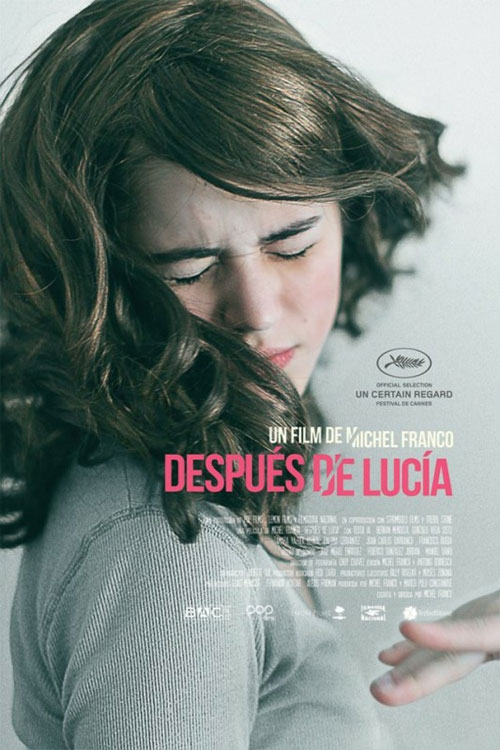 Poster del film Despus de Lucia