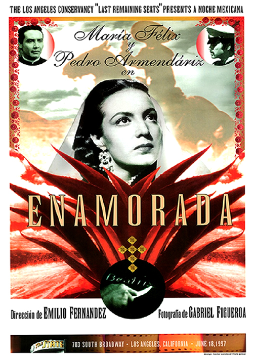 Poster del film Enamorada