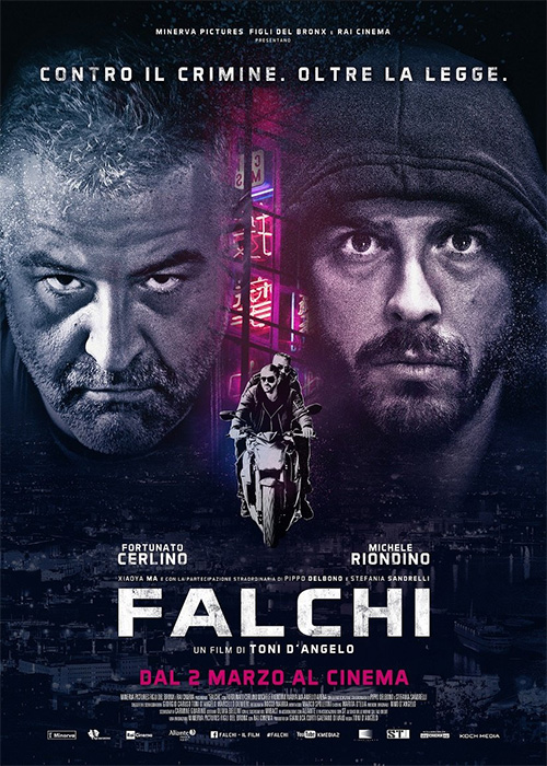 Poster del film Falchi