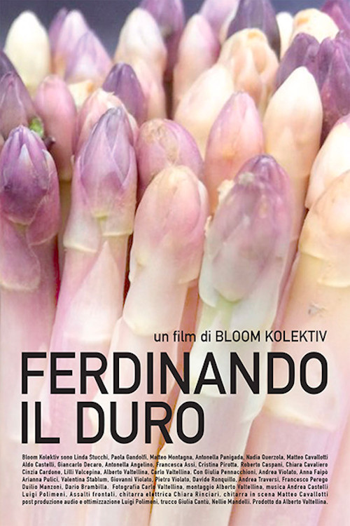 Poster del film Ferdinando il duro