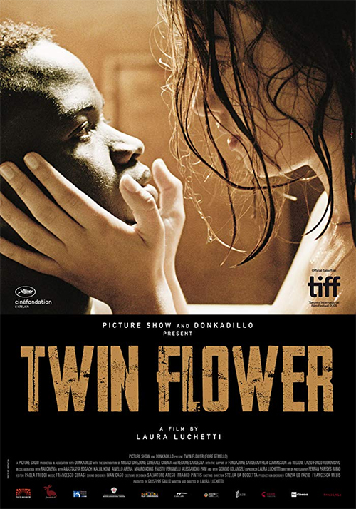 Poster del film Fiore gemello