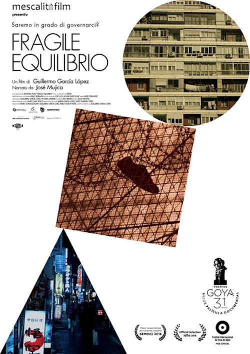 Poster del film Fragile equilibrio