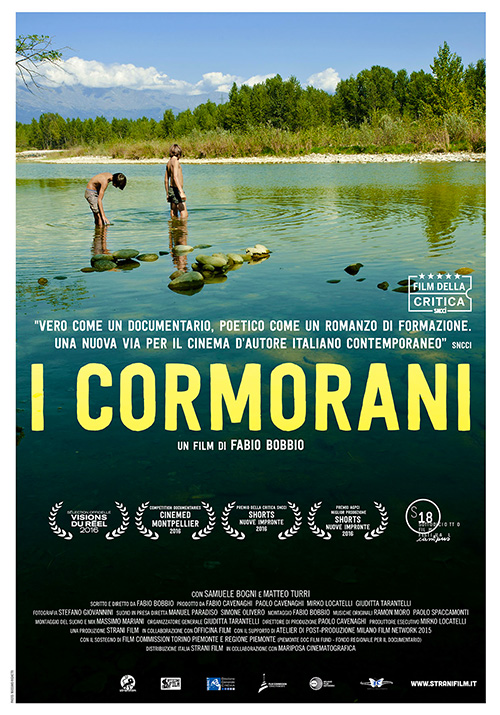 Poster del film I cormorani