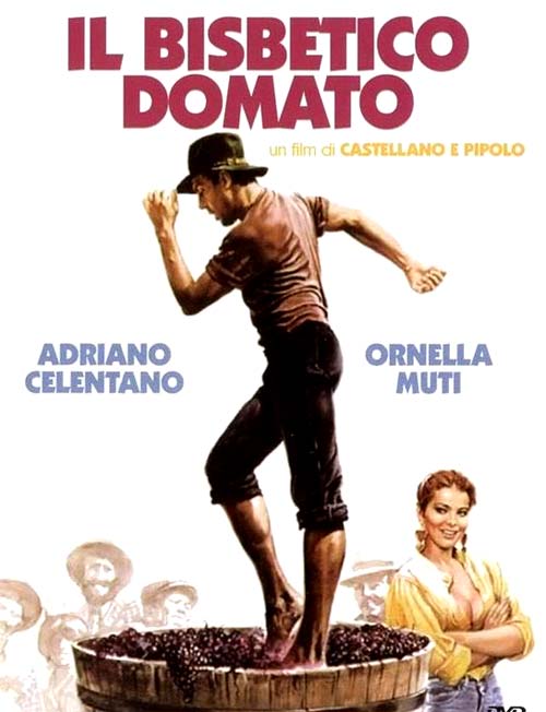 Poster del film Il bisbetico domato