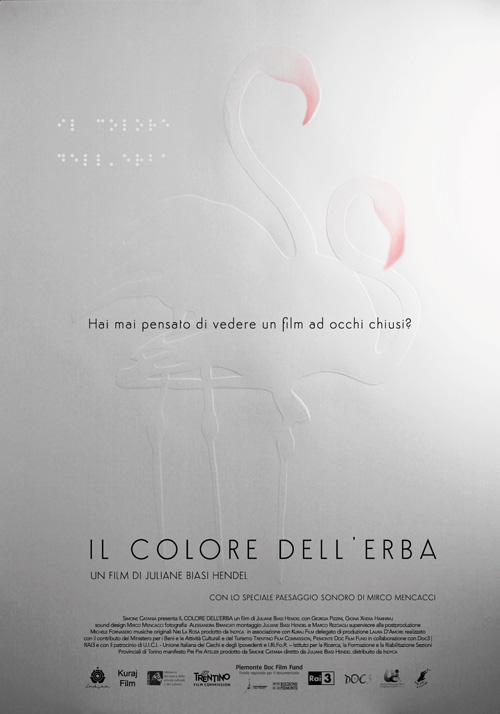 Poster del film Il Colore dell'Erba