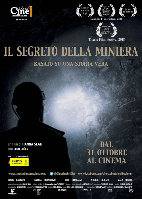 Poster del film Il segreto della miniera