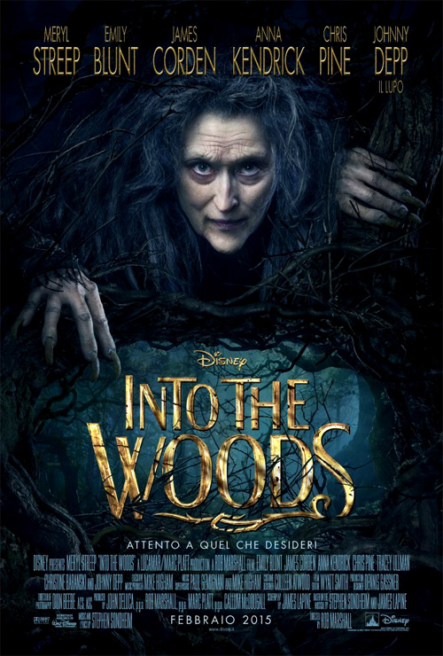 Poster del film Into the Woods