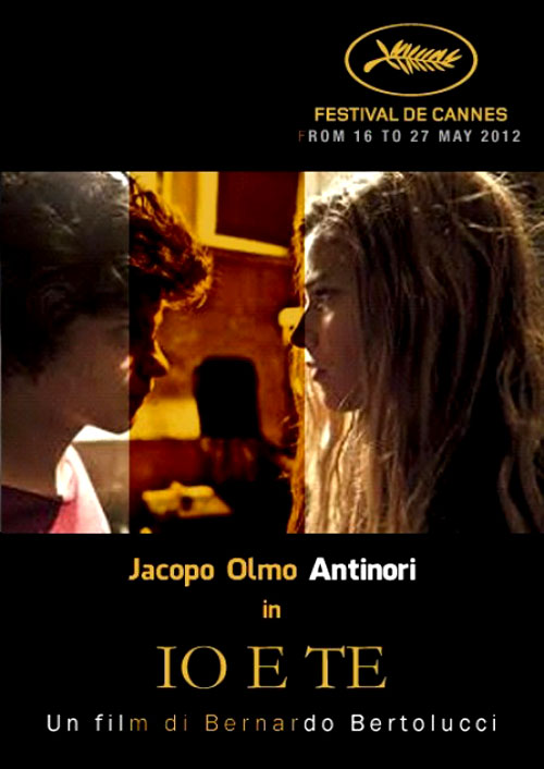 Poster del film Io e te