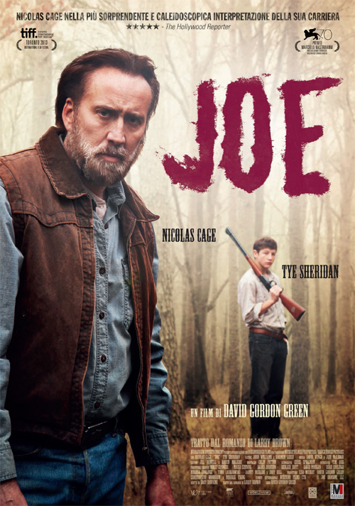 Poster del film Joe