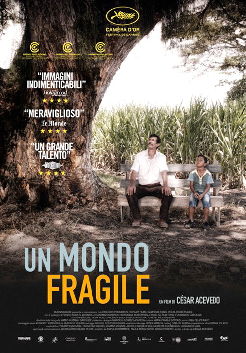 Poster del film Un mondo fragile